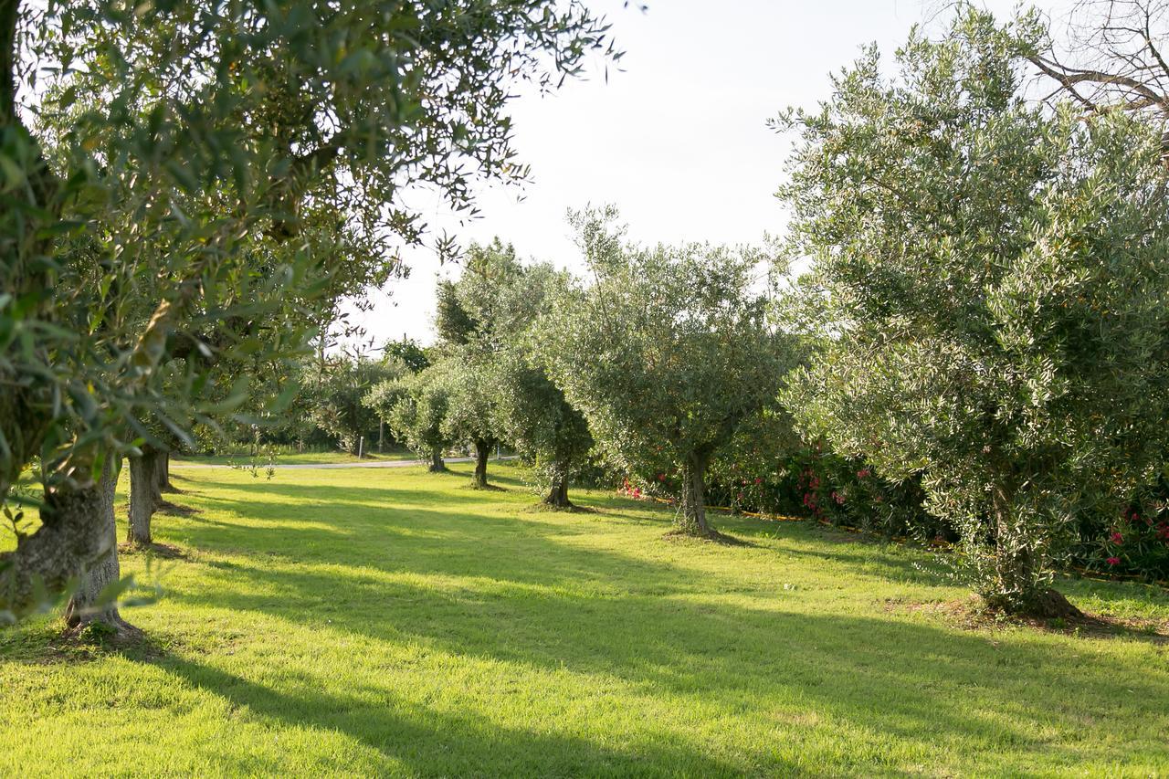 Belvedere Monte Leano Guest House Terracina Exterior photo