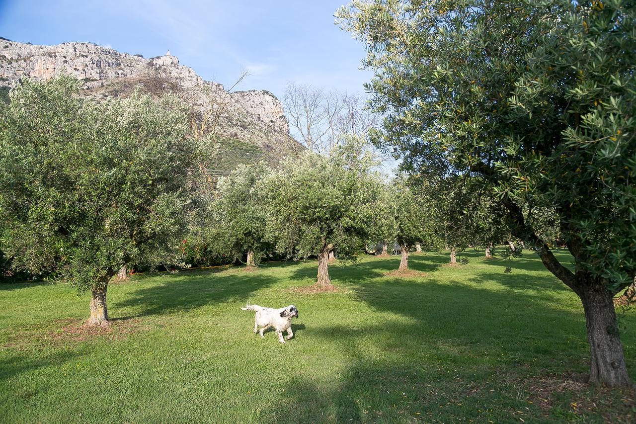 Belvedere Monte Leano Guest House Terracina Exterior photo